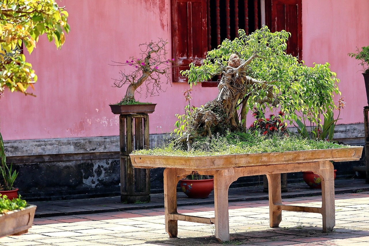 Master the Craft: Bonsai Tree Carving